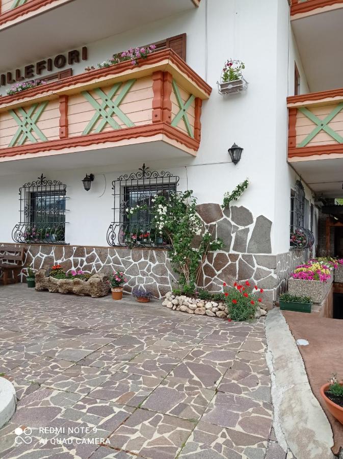 Hotel Millefiori ヴィーゴ・ディ・ファッサ エクステリア 写真